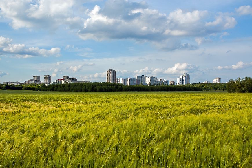 Blick auf Gropiusstadt in Berlin von Süden