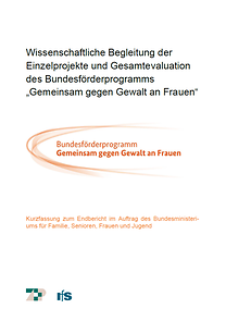 Kurzfassung zum Endbericht für das Bundesförderprogramm "Gemeinsam gegen Gewalt an Frauen"